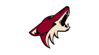 Logo:1hem1vdu8a4= Arizona Coyotes