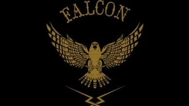 Logo:7qa8cqcucp4= Falcon