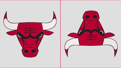 Logo:_Wrv548v0gs= Chicago Bulls