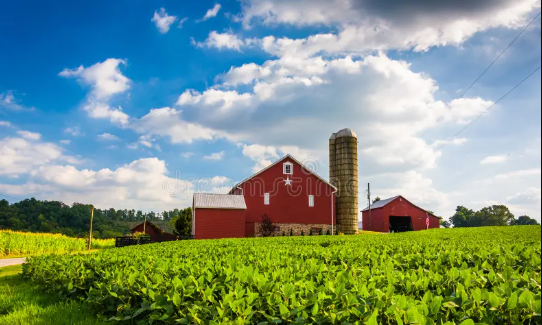 Beautiful:2tvjfgw363w= Farms