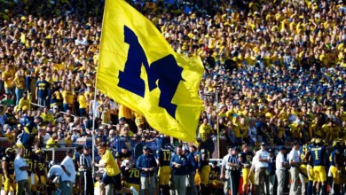 Logo:34nudidlysi= Michigan Football