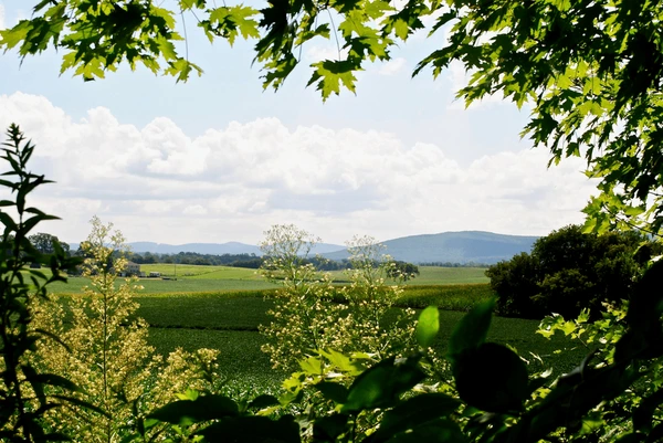 Beautiful:4ewllj8dcym= Appalachian Mountains