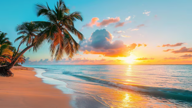 Beautiful:1lsfxpy_Qdg= Tropical:Llrt3jsli_C= Beach