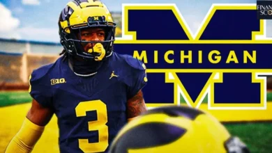 Logo:34nudidlysi= Michigan