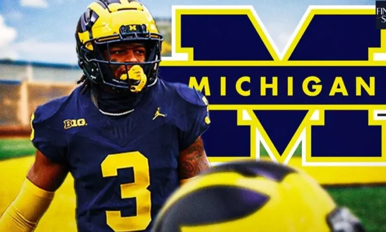 Logo:34nudidlysi= Michigan