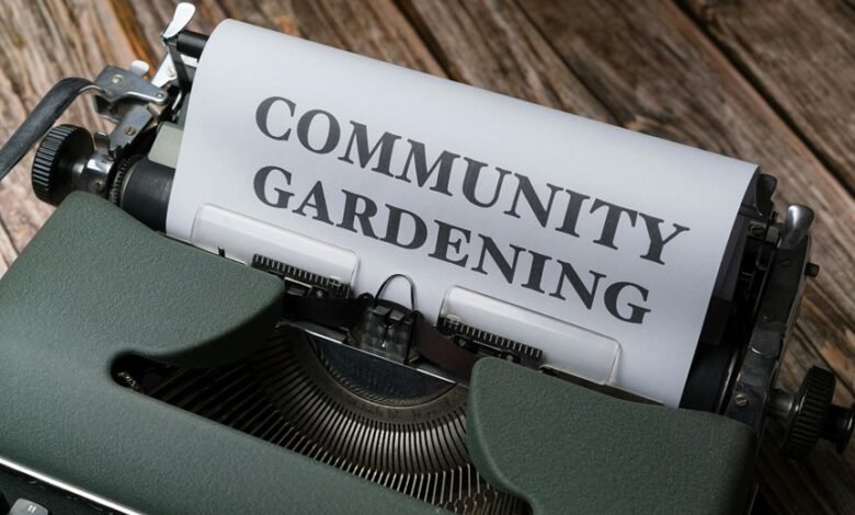 environmental awareness and advocacy