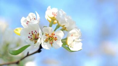 digital transformation and renewal