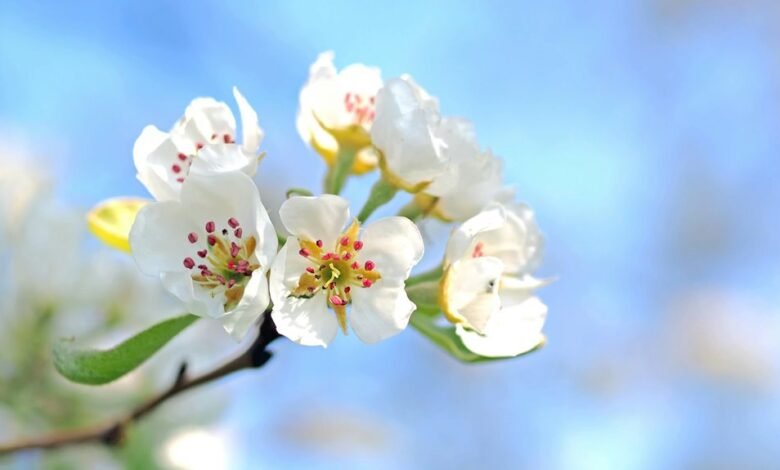 digital transformation and renewal