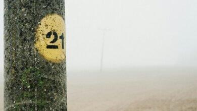 mysterious journey through fog