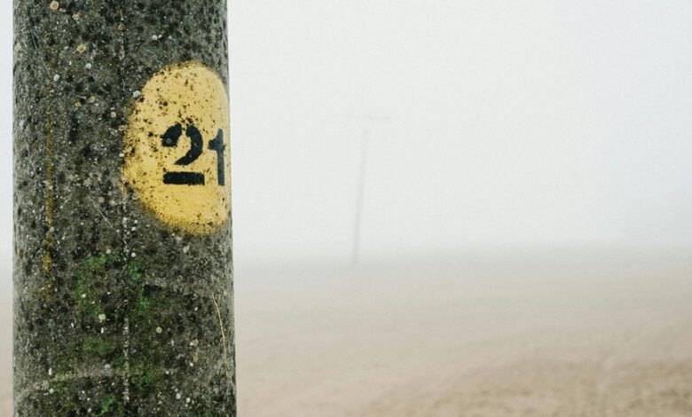 mysterious journey through fog