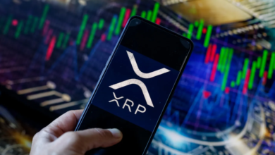 What Impact Does XRP Price Have on Ripple’s Future?