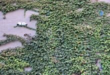 operational security evaluation taskforce