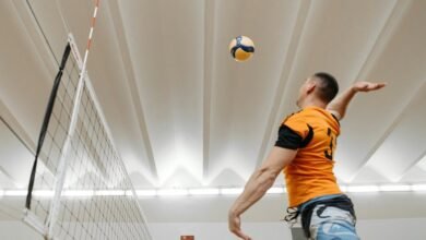 momentum nexus contact numbers