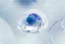 executive information intelligence register