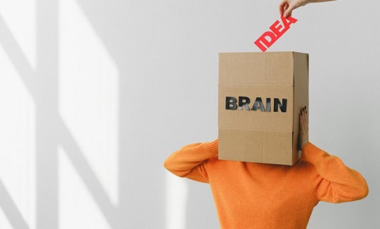 organisational strategy insight capsule