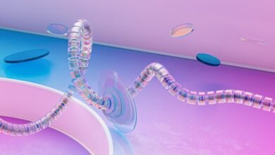 strategic intelligence control summary